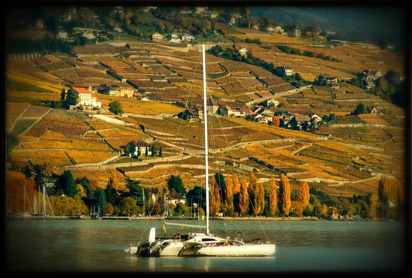 Wineries of Switzerland and amazing boats