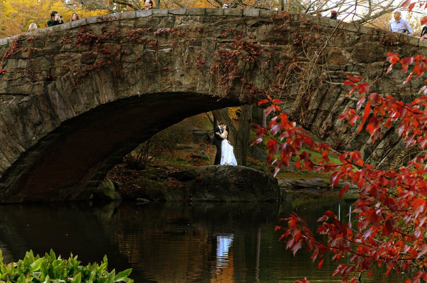 Central park photos pre wedding shoot